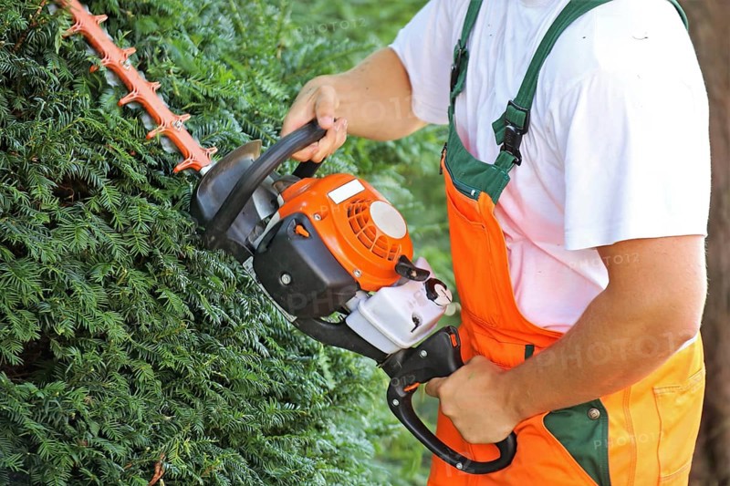 Man cutting hedges and greenery