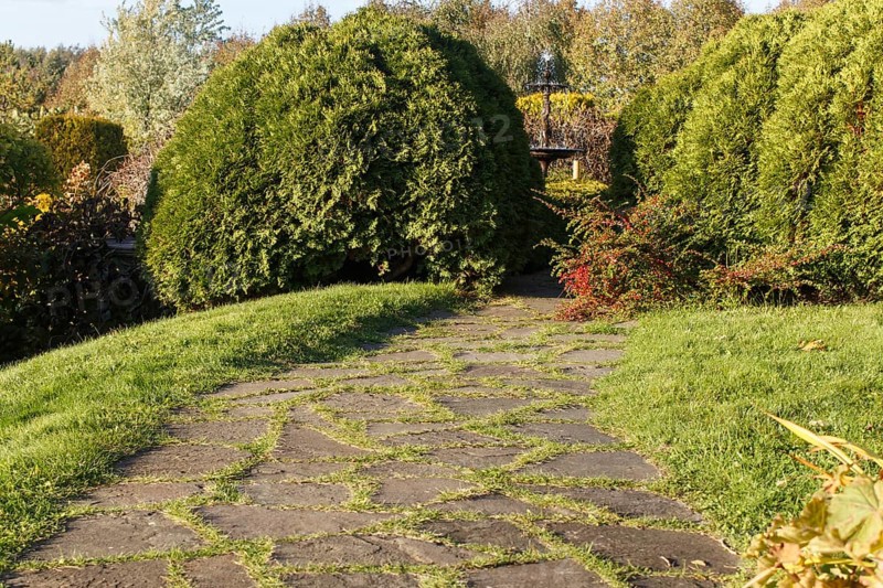 Park with green lawn, trees trimmed bushes and natural stone path in autumn. Modern landscape design