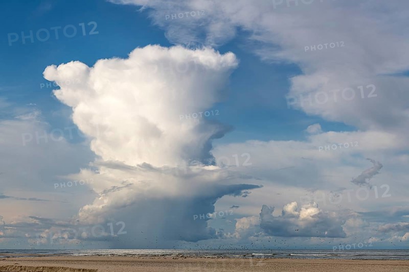 Rain cloud (Cumulonimbus capillatus) with heavy rain shower on the North Sea beach, Henne Molle, Henne, Region Syddanmark, Denmark, Europe