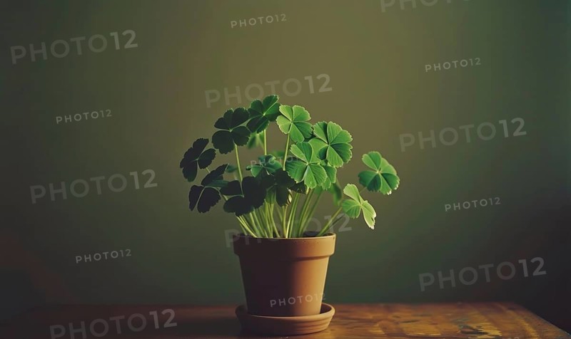 Four leaf clover plant in a pot on wooden table and green background. AI generated