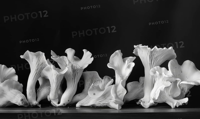 Black and white chanterelle mushrooms on black background. Vintage photo style AI generated