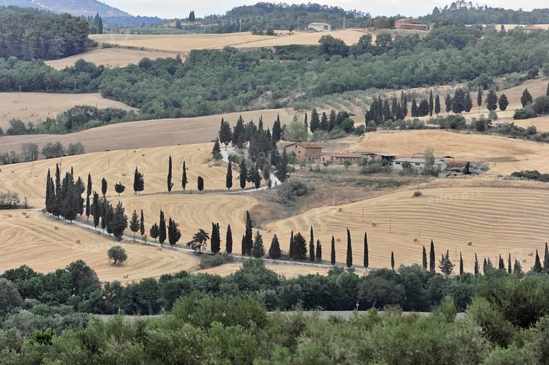 Cypress avenue with farmhouse, south of Pienza, Tuscany, Italy, Europe