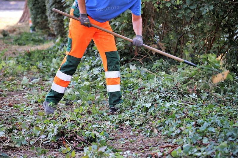 Green maintenance, landscape maintenance (Homburg, Saarland)