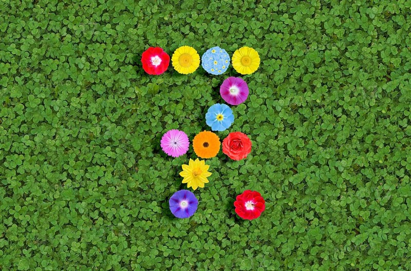 Number 7 seven seventh 7th written with colorful flowers on green clover background