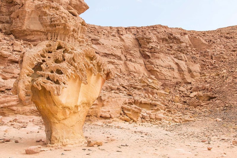 Mushroom rock. Egypt, desert, the Sinai Peninsula, Nuweiba, Dahab