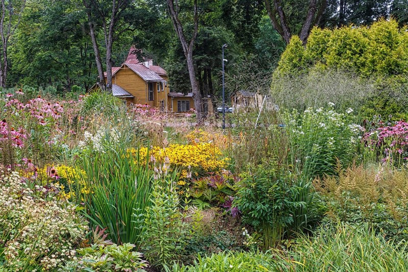Complex flower bed of perennial plants in the city park. Druskininkai, Lithuania, Europe