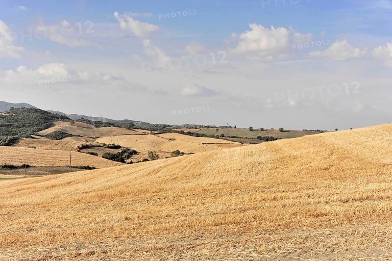 Harvested wheat field, landscape north of Sorano, Tuscany, Italy, Europe