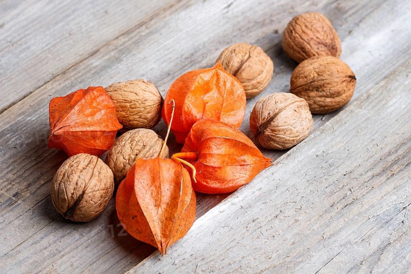 Walnuts and red physalis on rustic wooden background with copy space
