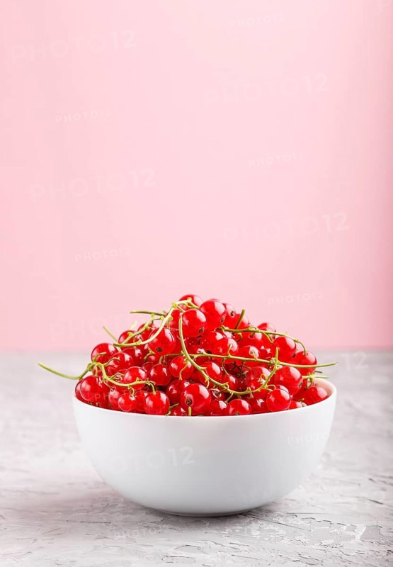 Fresh red currant in white bowl on gray and pink background. side view, copy space, selective focus