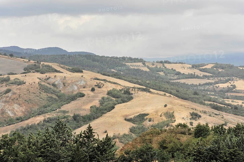 Harvested wheat field, landscape north of Sorano, Tuscany, Italy, Europe