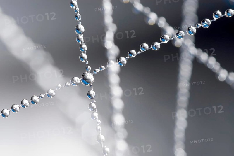 Small water droplets hang on fishing line