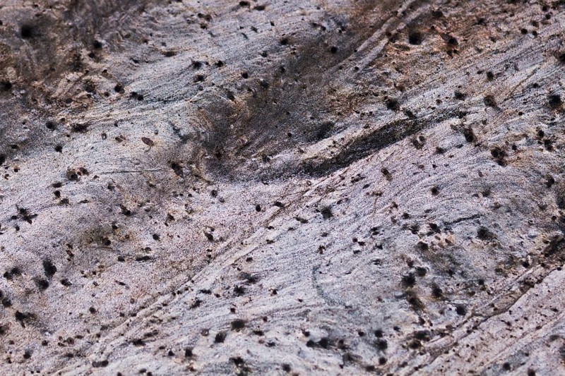 The texture of natural stone, sandstone, limestone, granite