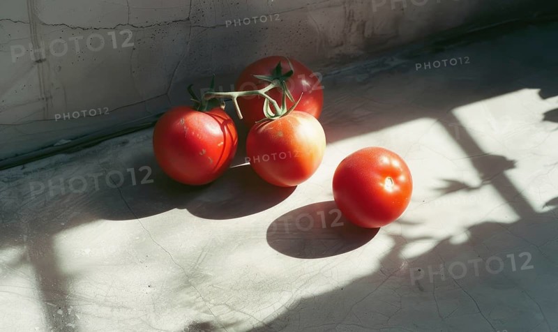 Tomatoes on a branch on a light background. Selective focus. AI generated