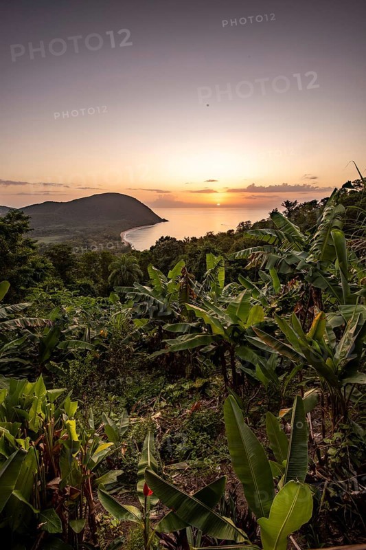 View from a mountain to a secluded bay with a sandy beach and mangrove forest. The sun rises over the sea and bathes the surroundings in a golden light. Grande Anse beach, Basse Terre, Guadeloupe, French Antilles, Caribbean, North America