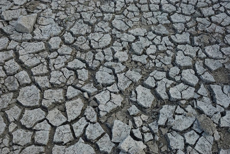 Close-up view of dry, cracked earth reminiscent of a drought-stricken area, Desiccated ground