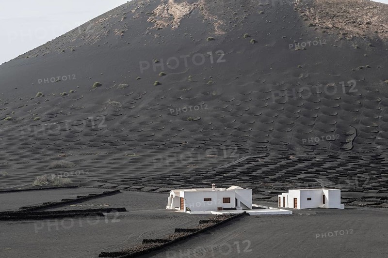 Wine growing in volcanic ash pits protected by dry stone walls, Yaiza, Lanzarote, Canary Islands, Spain, Europe