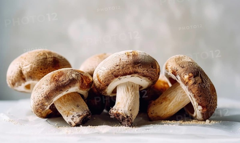 Fresh champignon mushrooms on a white background. Selective focus. AI generated