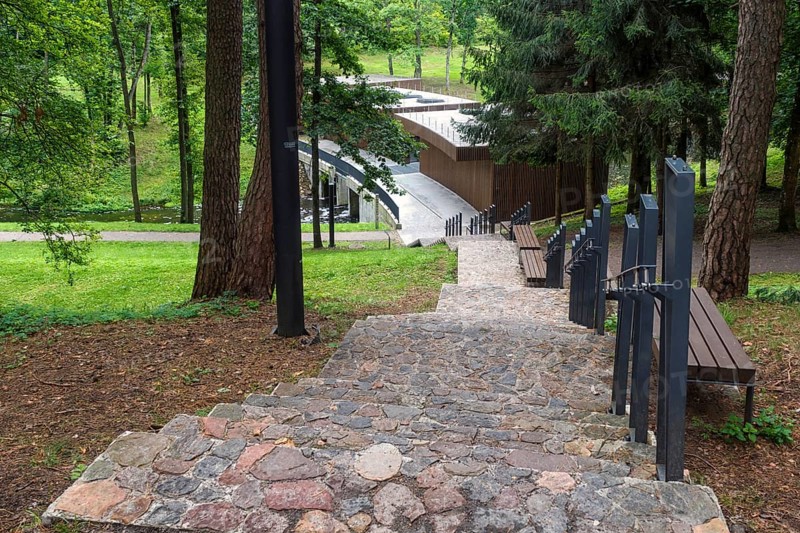 A forest park with large trees and creative benches and arches. Druskinikai, Lithuania, Europe