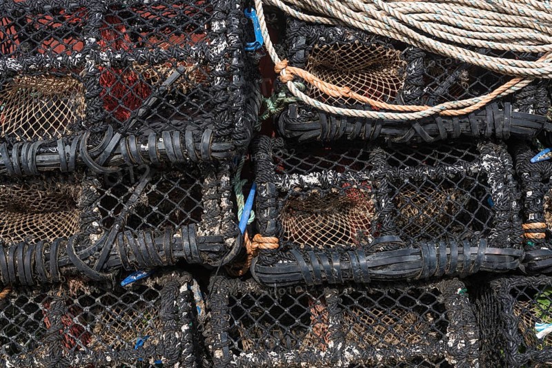 Fishing traps in the harbour of Hvide Sande, Hvide Sande, Region Midtjylland, Denmark, Europe