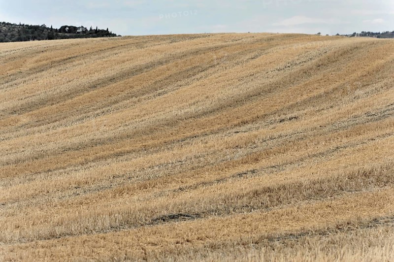 Harvested fields south of Siena, Crete Senesi, Tuscany, Italy, Europe