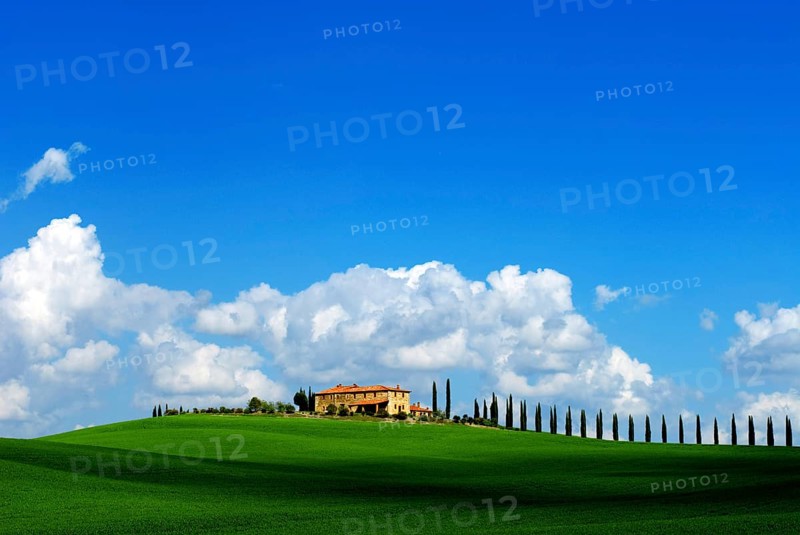 Farmhouse Val d'Orcia near Montalcino and cypresses panoramic, Tuscany, Italy, Europe