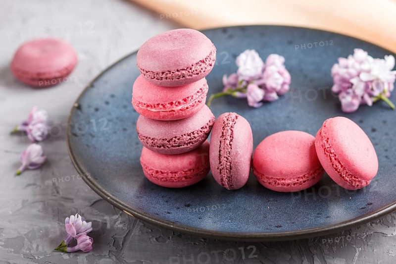 Purple and pink macaron or macaroon cakes with lilac flowers on blue ceramic plate on a gray concrete background. side view, close up