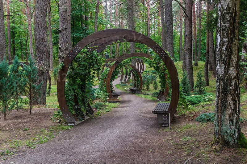 A forest park with large trees and creative benches and arches. Druskinikai, Lithuania, Europe
