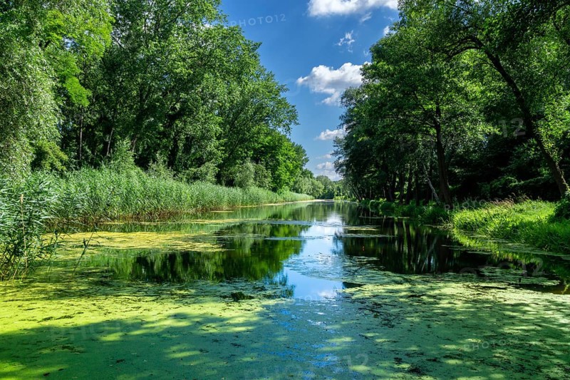 Landscape and nature around Berlin, Germany, Europe