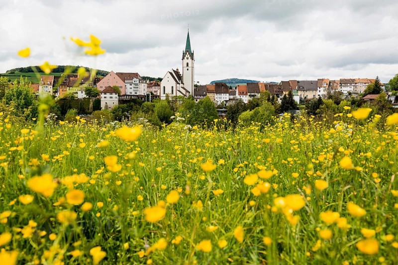 Historic old town, Engen, Hegau, Constance district, Lake Constance, Baden-Wuerttemberg, Germany, Europe