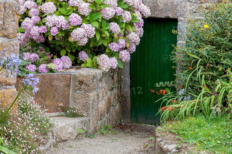 Old wooden door surrounded by flowers, Ile de Brehat, Departement Cotes-d'Armor, Brittany, France, Europe