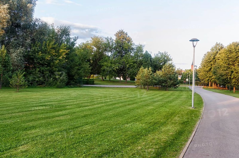 A green lawn with large trees growing in it in the city park of Druskininkai. Lithuania
