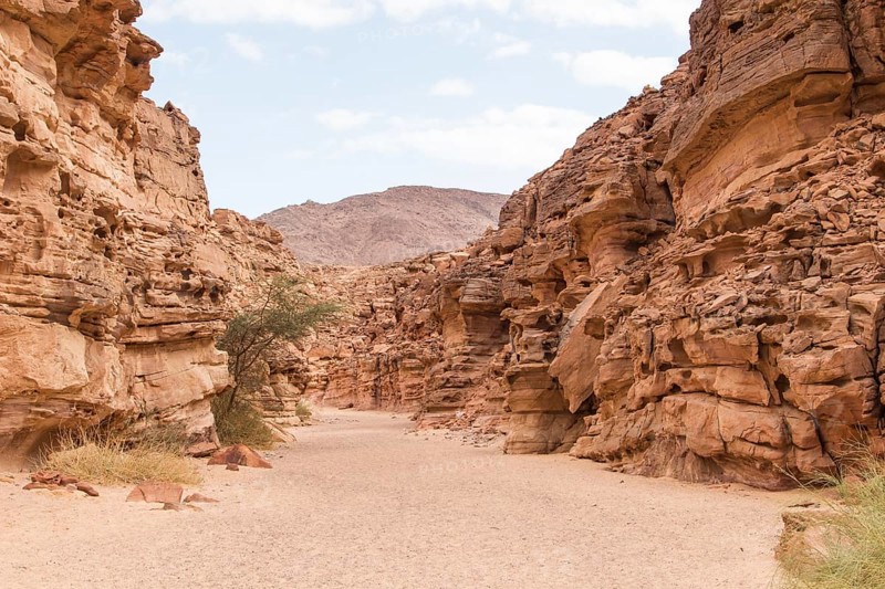 Colored canyon with red rocks. Egypt, desert, the Sinai Peninsula, Nuweiba, Dahab