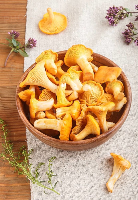 Chanterelle mushrooms in wooden bowl and spice herbs on wooden background with linen textile. side view, close up