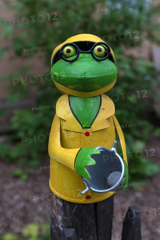 Colourful tin frog on a garden fence, Mecklenburg-Vorpommern, Germany, Europe