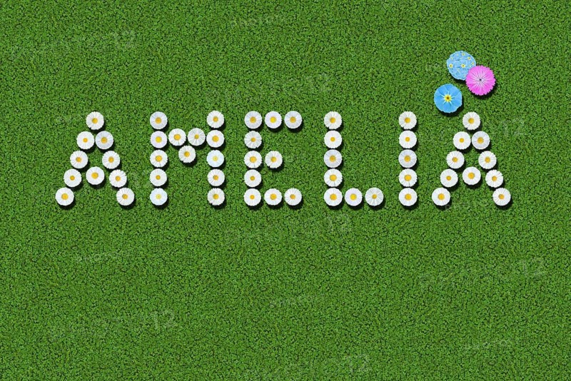 The ten most popular first names for girls in the US and UK, Amelia