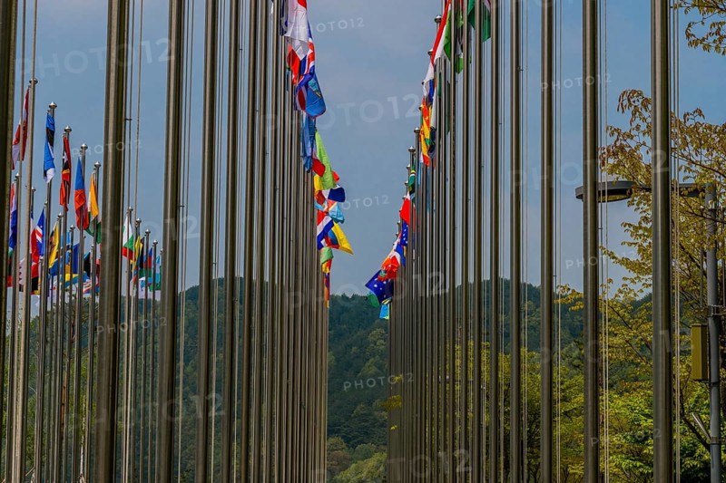 Flags from several nations flying on chrome flagpoles with trees and blue sky in background in South Korea