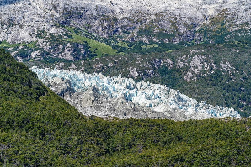 Tongue of the Pia Glacier between forests, Alberto de Agostini National Park, Avenue of the Glaciers, Chilean Arctic, Patagonia, Chile, South America