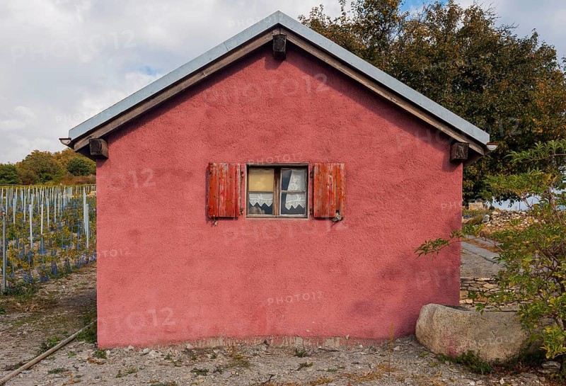 Red facade of a tool shed in a vineyard, red, facade, house, small, window, curtain, agriculture, agribusiness, Valais, Switzerland, Europe