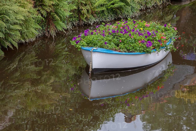 Boat planted with flowers, river Trieux, Pontrieux, Departement Cotes dArmor, Bretagne, France, Europe