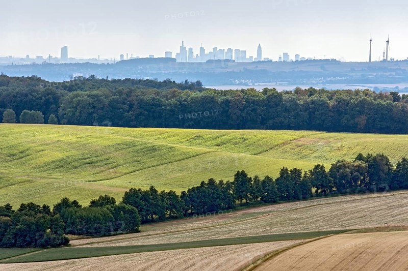 View of Frankfurt am Main, skyline of skyscrapers, fields, forest, Ronneburger Huegelland, Ronneburg, Main-Kinzig-Kreis, Hesse, Germany, Europe