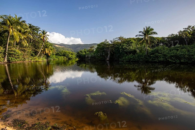 View of a river arm, a tropical mangrove landscape and the natural surroundings of Grande Anse Beach, Basse Terre, Guadeloupe, the French Antilles and the Caribbean, North America