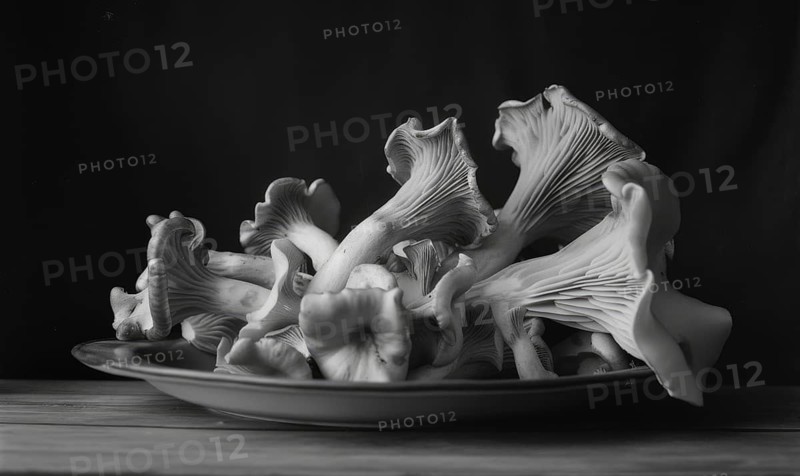 Oyster mushrooms on a plate, black and white photo, close-up AI generated