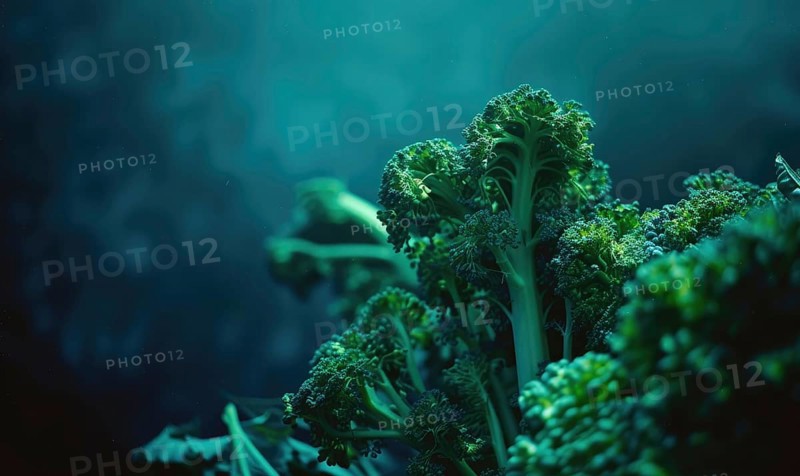 Close up of fresh green kale on dark background. Selective focus AI generated