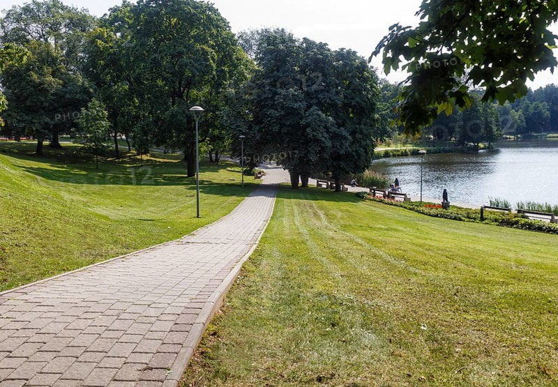 A forest park with large trees and creative benches and arches. Druskinikai, Lithuania, Europe