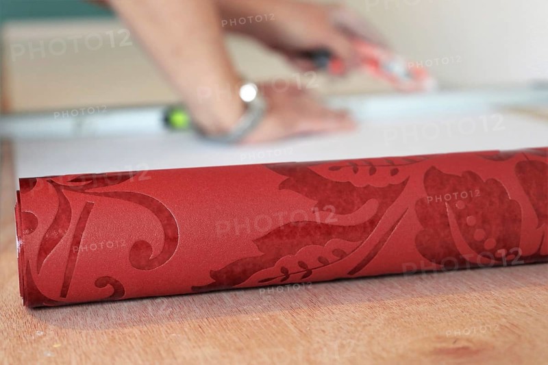 Craftsman (painter) for wallpapering work