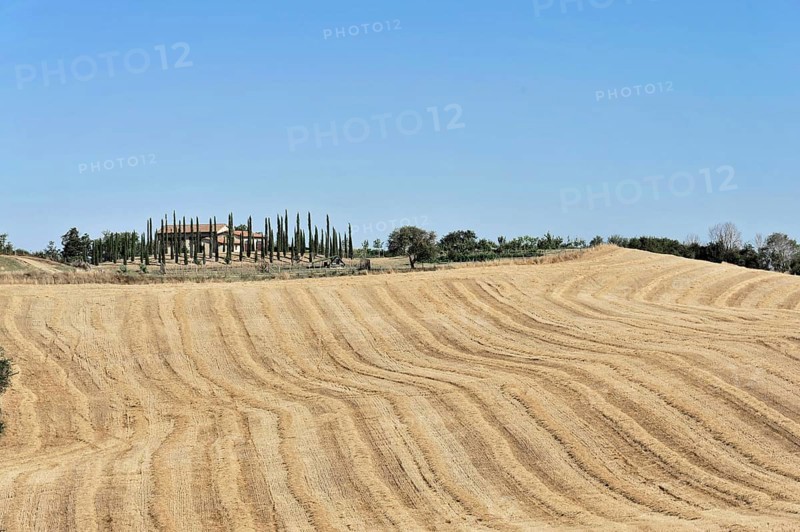 Harvested wheat field, landscape north of Sorano, Tuscany, Italy, Europe