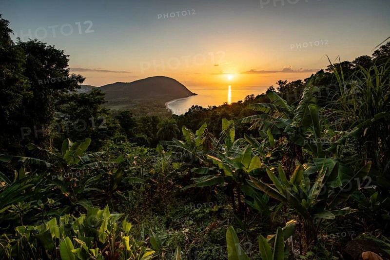 View from a mountain to a secluded bay with a sandy beach and mangrove forest. The sun rises over the sea and bathes the surroundings in a golden light. Grande Anse beach, Basse Terre, Guadeloupe, French Antilles, Caribbean, North America