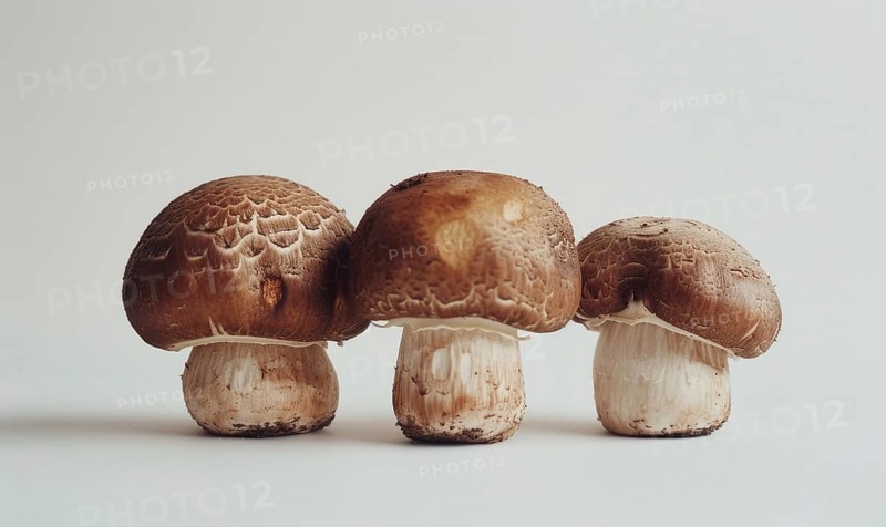 Three brown champignons on a white background, close-up. AI generated