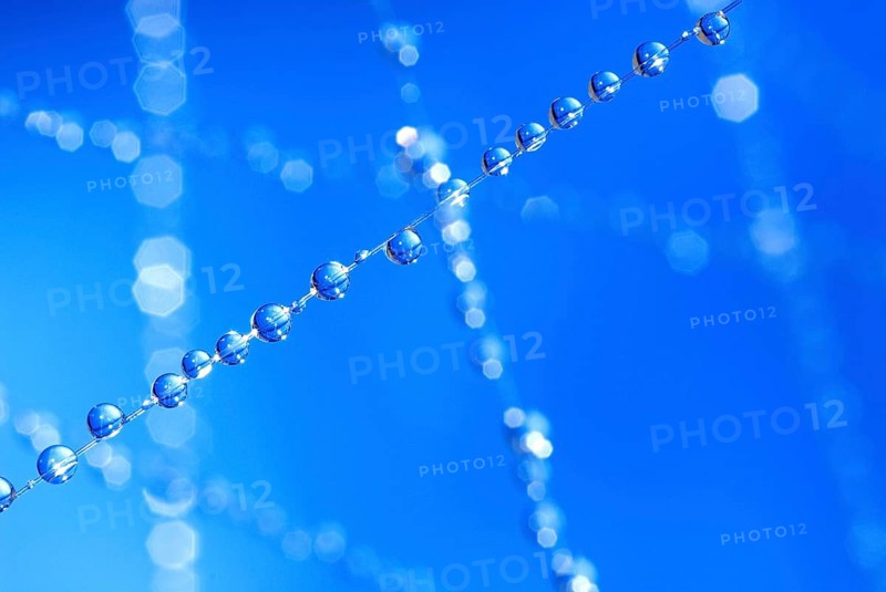 Small blue water droplets hang on fishing line