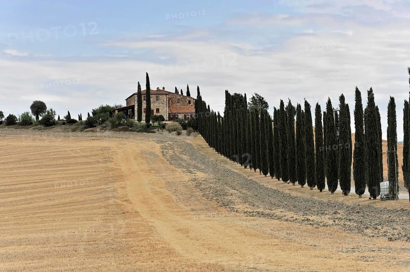 Cypress avenue with farmhouse, south of Pienza, Tuscany, Italy, Europe